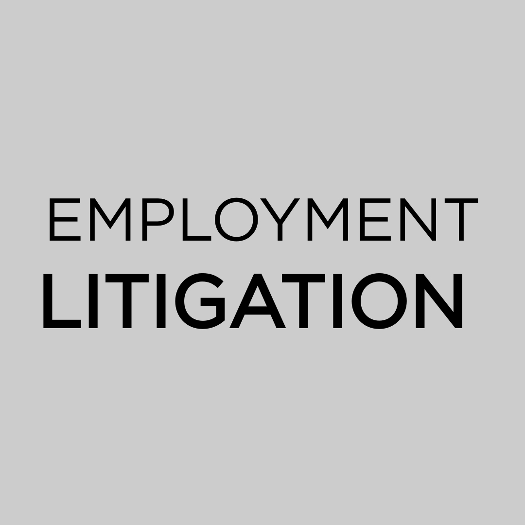 Employment Litigation